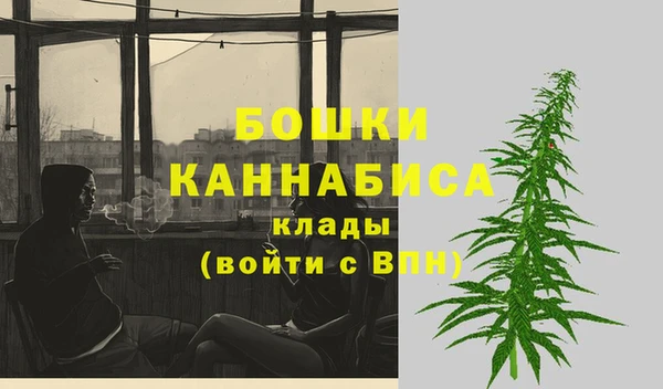 Альфа ПВП Гусь-Хрустальный
