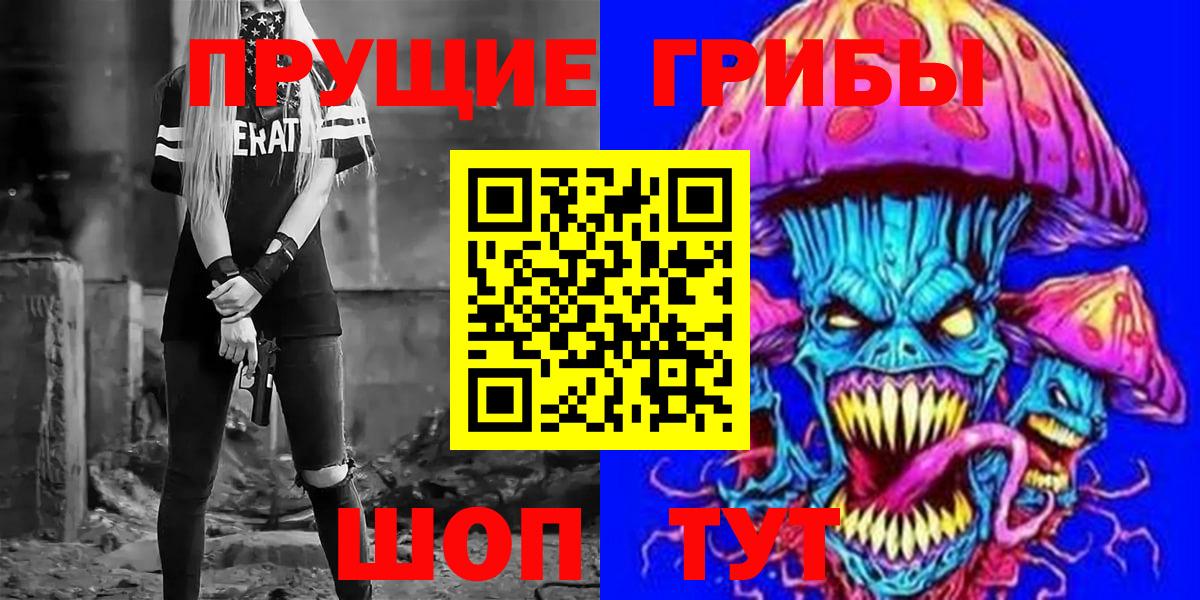 Псилоцибиновые грибы Cubensis Камышлов