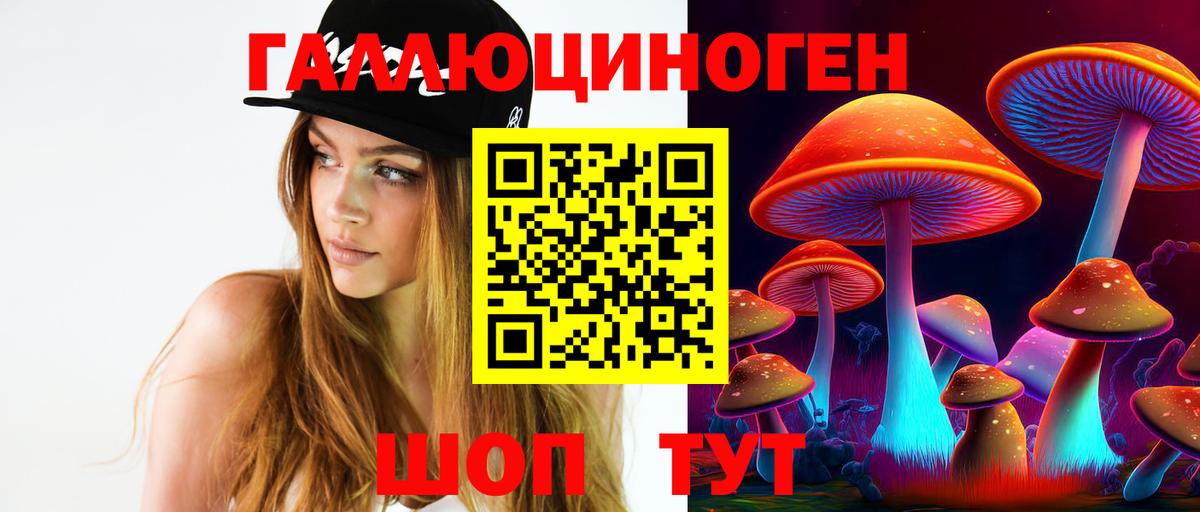 Камышлов  Псилоцибиновые грибы Psilocybe  Вход с VPN  Псилоцибиновые грибы ЛСД 