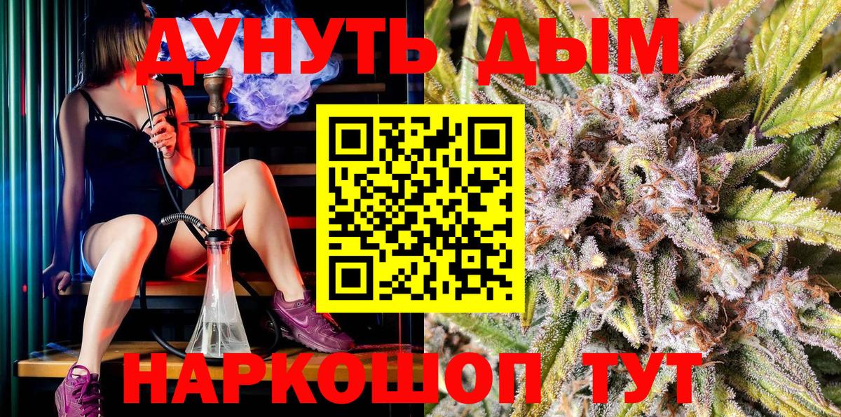 Камышлов  МАРИХУАНА планчик  Вход с VPN  Бошки марихуана MAZAR 